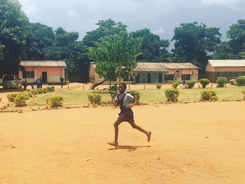 Zambia flicka springer