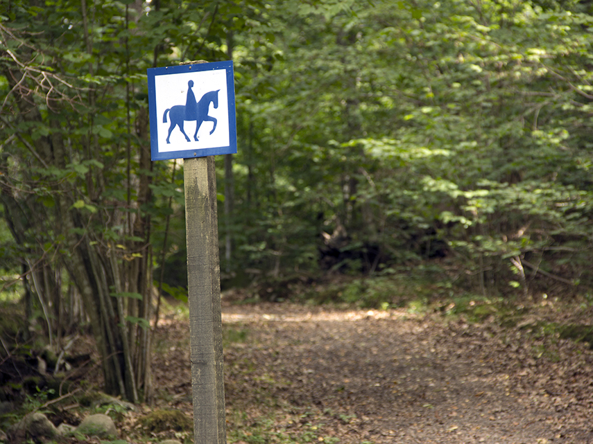 Ridspår med skylt med en häst på som visar påbjuden ridväg. 