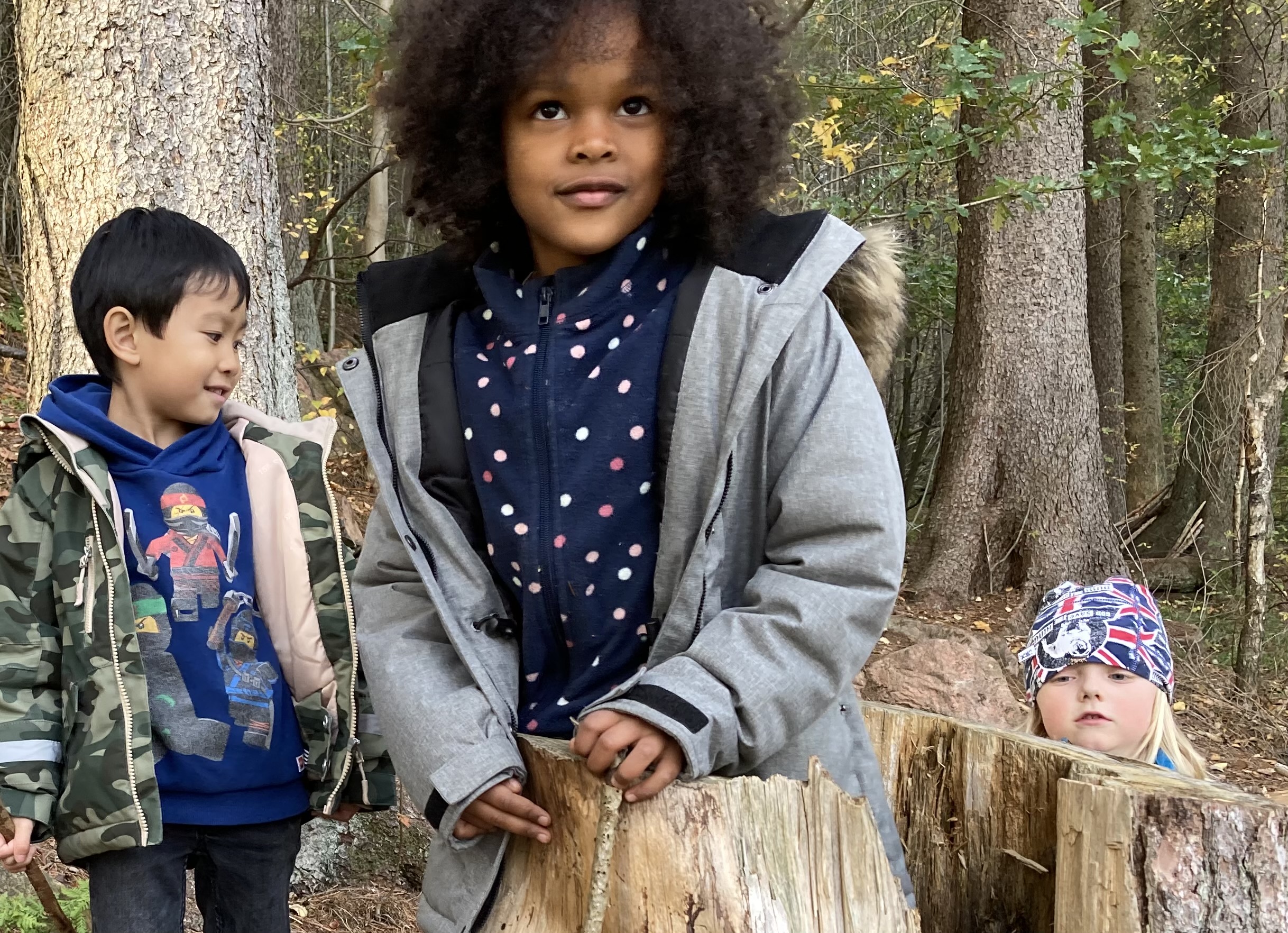Tre barn leker i en skogsdunge