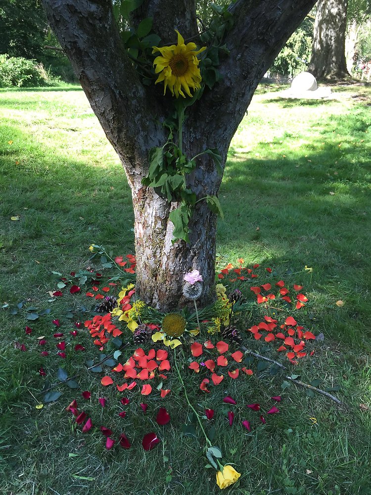 Blomblad konstfullt utlagda på marken runt ett träd.